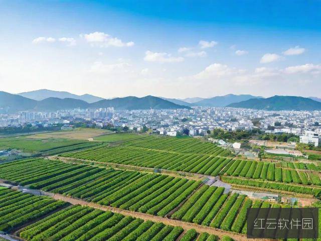 日本一线产区与韩国二线产区，哪个更值得选择？