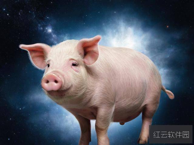 从美国猪ZOOM到美国猪鬃,一场跨越时空的贸易与文化观察